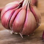 Heirloom Hardneck Garlic Bulbs - 4 Pack