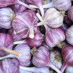 Heirloom Hardneck Garlic Bulbs - 4 Pack