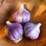 Heirloom Hardneck Garlic Bulbs - 4 Pack