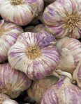 Garlic Bulb Mix for Outdoor Planting - 4 Count