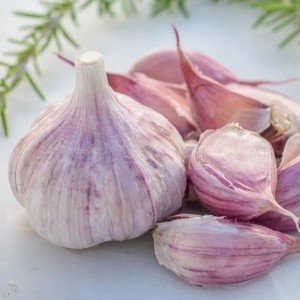 6 California Softneck Garlic Bulbs for Planting