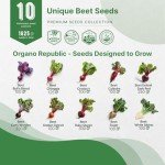 10 Rare Heirloom Beet Seed Variety Pack