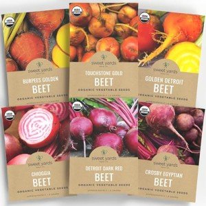 Organic Beet Seeds Variety Pack - 6 Types