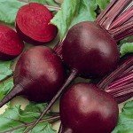 Organic Detroit Dark Red Beet Seeds - 125 Count