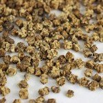 Organic Detroit Dark Red Beet Seeds - 125 Count