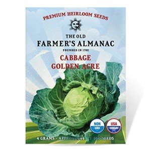 Old Farmer's Almanac Golden Acre Cabbage Seeds