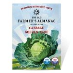 Old Farmer's Almanac Golden Acre Cabbage Seeds