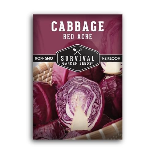 Cabbage and Related Vegetables