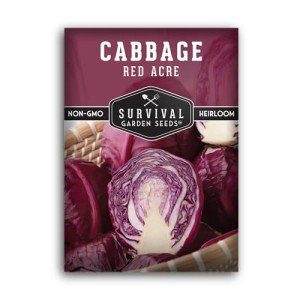 Red Acre Cabbage Seeds for Your Vegetable Garden