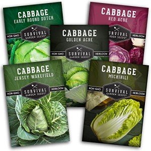 Cabbage Collection Seed Vault - 5 Non-GMO Varieties