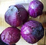 1000 Organic Red Acre Cabbage Seeds for Gardens