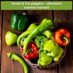 Hot & Sweet Pepper Seed Collection - Non-GMO