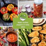 Hot & Sweet Pepper Seed Collection - Non-GMO