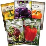 Sweet Bell Pepper Seed Collection for Home Gardens