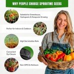 Heirloom Pepper Seeds Variety Pack for Gardening