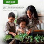 Heirloom Pepper Seeds Variety Pack for Gardening