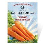 Heirloom Tendersweet Carrot Seeds - 2600 Count