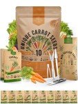 10 Unique Non-GMO Carrot Seed Varieties Pack