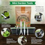 10 Unique Non-GMO Carrot Seed Varieties Pack