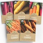 Organic Carrot Seeds Variety Pack for Planting