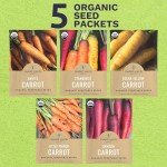 Organic Carrot Seeds Variety Pack for Planting