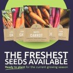 Organic Carrot Seeds Variety Pack for Planting