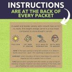 Organic Carrot Seeds Variety Pack for Planting