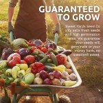 Organic Carrot Seeds Variety Pack for Planting