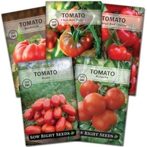 Classic Tomato Seed Collection - Non-GMO Heirloom Varieties