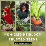 Classic Tomato Seed Collection - Non-GMO Heirloom Varieties