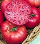 Delicious Pink Ponderosa Heirloom Tomato Seeds