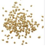 Delicious Pink Ponderosa Heirloom Tomato Seeds