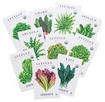 Organic Lettuce Seeds Collection (10-Pack) - Non-GMO