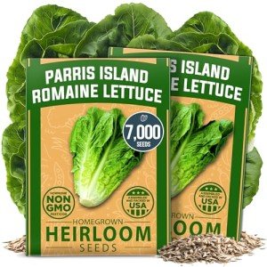 Romaine Lettuce Seeds - Heirloom Non-GMO Bulk Pack