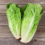 Bonnie Plants Green Romaine Lettuce 4-Pack