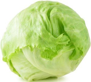 500 Heirloom Iceberg Lettuce Seeds for Home Garden