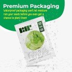 500 Heirloom Iceberg Lettuce Seeds for Home Garden