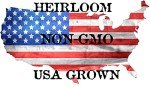 500 Heirloom Iceberg Lettuce Seeds for Home Garden