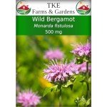 Wild Bergamot Bee Balm Seeds - 1000+ Non-GMO