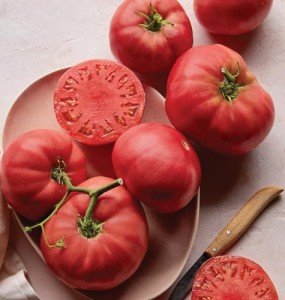 Brandywine Pink Beefsteak Tomato Seeds - 90 Count