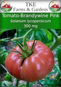 Brandywine Pink Tomato Seeds - 100 Heirloom Seeds