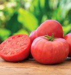 Brandywine Pink Beefsteak Tomato Seeds - 90 Count
