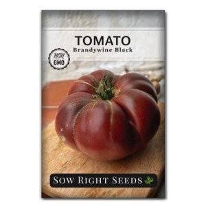 Brandywine Black Tomato Seeds - Non-GMO Heirloom