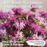 Lemon Bee Balm Flower Seeds Mix for Gardeners