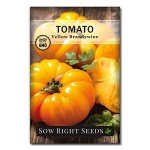 Yellow Brandywine Tomato Seeds - Non-GMO Heirloom