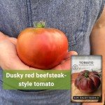 Brandywine Black Tomato Seeds - Non-GMO Heirloom