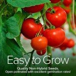 Heirloom Tomato Seed Variety Pack - 8 Types