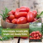Roma Tomato Seeds - Non-GMO, Heirloom Variety