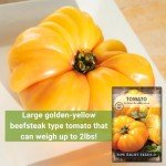 Yellow Brandywine Tomato Seeds - Non-GMO Heirloom
