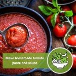 Roma Tomato Seeds - Non-GMO, Heirloom Variety